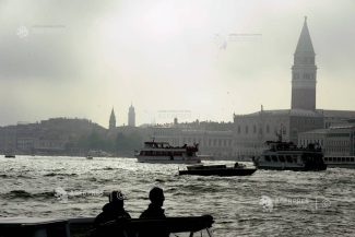 Un delfin a fost zărit în Canal Grande din Veneția