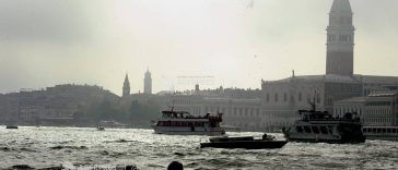 Un delfin a fost zărit în Canal Grande din Veneția