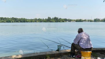 Coduri portocalii de caniculă în peste jumătate din țară, în următoarele două zile