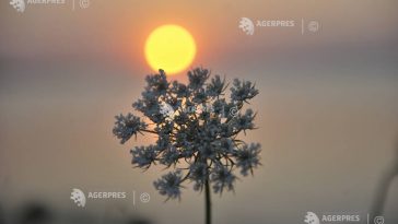 ANM: Trei atenționări Cod galben de caniculă, vânt puternic și averse torențiale, pe parcursul zilei de miercuri