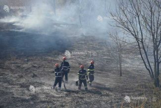Vaslui: Peste 20 de hectare de vegetație au ars într-un incendiu izbucnit în comuna Zorleni