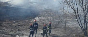 Vaslui: Peste 20 de hectare de vegetație au ars într-un incendiu izbucnit în comuna Zorleni