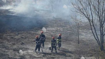Vaslui: Peste 20 de hectare de vegetație au ars într-un incendiu izbucnit în comuna Zorleni