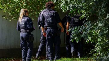 Poliția germană se confruntă cu al doilea sabotaj al rețelei electrice