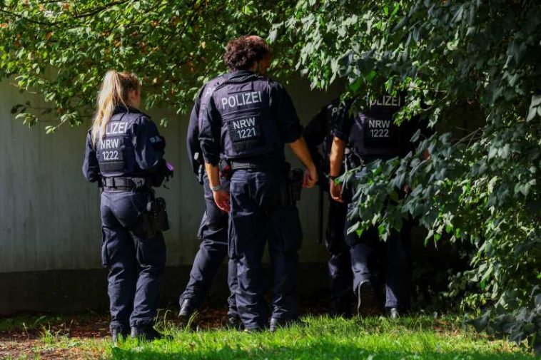 Poliția germană se confruntă cu al doilea sabotaj al rețelei electrice