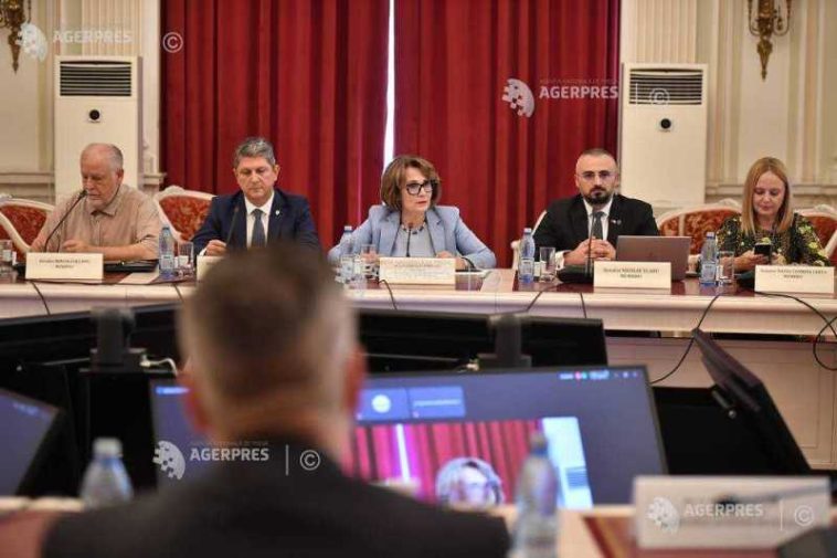Senat/ Senatoarea liberală Nicoleta Pauliuc – înlocuită de la șefia Comisiei de apărare cu senatorul Silviu Coșa