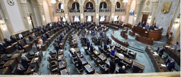 Senat: A fost eliminată scutirea de la plata accizelor pentru băuturile alcoolice tradiționale destinate consumului propriu