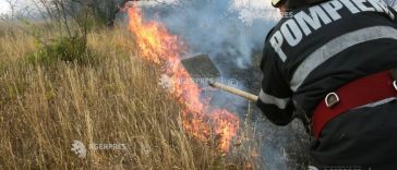 Sibiu: Aproximativ un hectar de vegetație uscată, afectat de un incendiu în apropiere de Poplaca