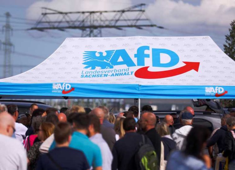 Germania: Nouă persoane rănite după un atac cu un lichid iritant la un stand al AfD în vestul țării