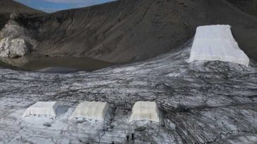O posibilă soluție pentru salvarea ghețarilor, bazată pe lâna oilor, testată de cercetătorii din Elveția