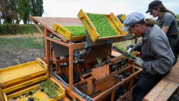 Franța vine în ajutorul fermierilor afectați de secetă cu un miliard de euro