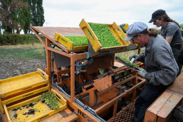 Franța vine în ajutorul fermierilor afectați de secetă cu un miliard de euro