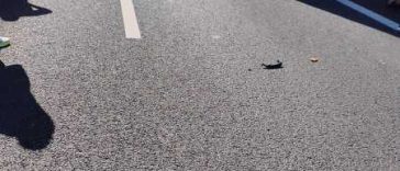 VIDEO Olt: Trei persoane au murit și două sunt rănite în urma unui accident produs pe DEX 12