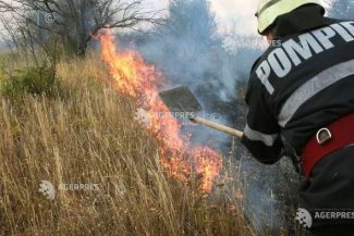 Vaslui: 200 de hectare de vegetație uscată au ars în urma unui incendiu izbucnit în comuna Blăgești