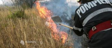 Vaslui: 200 de hectare de vegetație uscată au ars în urma unui incendiu izbucnit în comuna Blăgești