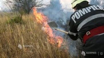 Vaslui: 200 de hectare de vegetație uscată au ars în urma unui incendiu izbucnit în comuna Blăgești