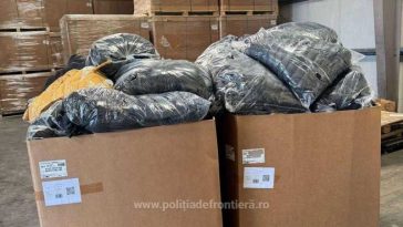 IGPF: Mii de bunuri susceptibile a fi contrafăcute, descoperite de polițiștii de frontieră constănțeni