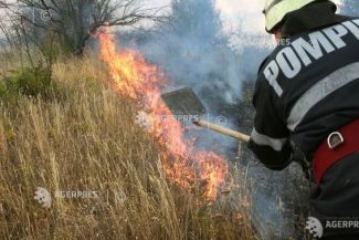 Vaslui: 50 de hectare de vegetație uscată, distruse într-un incendiu produs la în Băcești