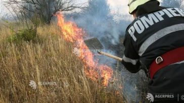 Vaslui: 50 de hectare de vegetație uscată, distruse într-un incendiu produs la în Băcești