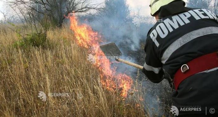 Vaslui: 50 de hectare de vegetație uscată, distruse într-un incendiu produs la în Băcești