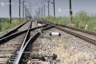 Copac căzut pe linia de contact între Stânceni și Lunca Bradului; circulația feroviară, afectată temporar