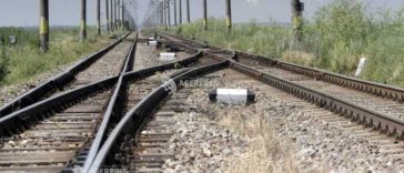 Copac căzut pe linia de contact între Stânceni și Lunca Bradului; circulația feroviară, afectată temporar