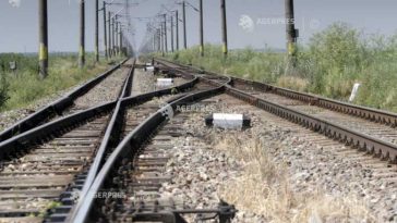 Copac căzut pe linia de contact între Stânceni și Lunca Bradului; circulația feroviară, afectată temporar