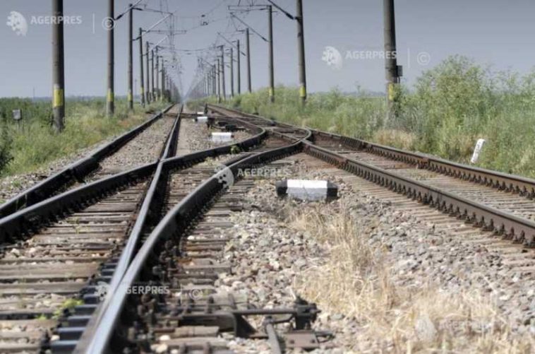 Copac căzut pe linia de contact între Stânceni și Lunca Bradului; circulația feroviară, afectată temporar