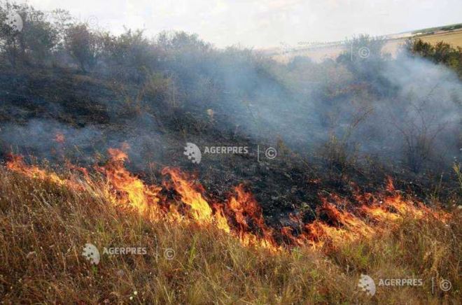 Maramureș: Incendiu de vegetație în Munții Igniș, la peste 1.200 m altitudine; pompierii intervin de două zile
