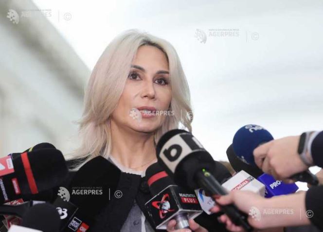 Turcan: Grupurile PNL și USR cer renunțarea la votul online în Camera Deputaților