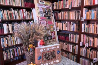 BIBLIOTECA AZI/ Brăila: La Chiscani, roboții prind viață lângă povești, semințe și ii românești