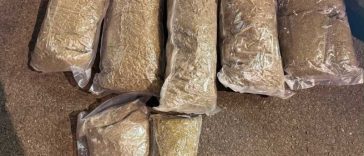 Bihor: Trei tineri, prinși în flagrant cu peste cinci kilograme de canabis, arestați preventiv