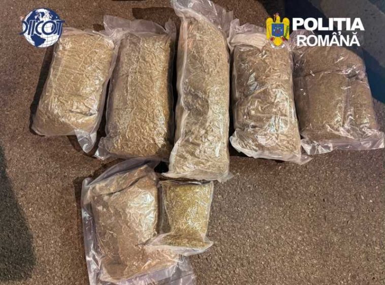 Bihor: Trei tineri, prinși în flagrant cu peste cinci kilograme de canabis, arestați preventiv