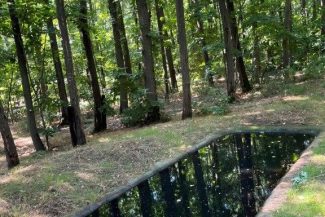 Buzău: Bazine betonate în pădure, umplute cu apă pentru animalele sălbatice
