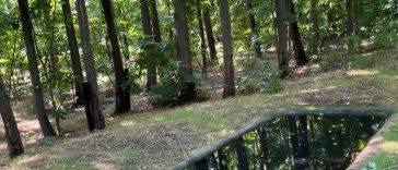 Buzău: Bazine betonate în pădure, umplute cu apă pentru animalele sălbatice