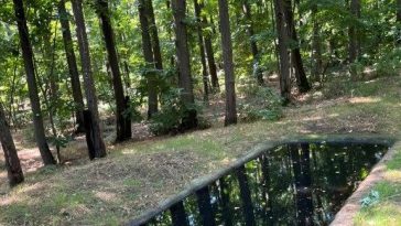 Buzău: Bazine betonate în pădure, umplute cu apă pentru animalele sălbatice