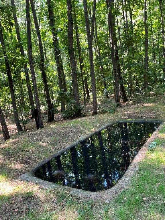 Buzău: Bazine betonate în pădure, umplute cu apă pentru animalele sălbatice