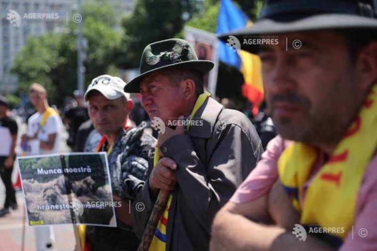 Câteva sute de oieri s-au adunat pe trotuarul din fața Muzeului Antipa