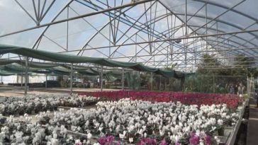 Maramureș: Expo Flora mută accentul pe latura educativă și oferă sprijin celor care încep grădinăritul (GALERIE FOTO)