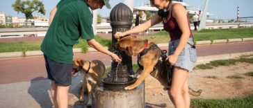 Schimbările climatice au adus 30 de zile cu temperaturi periculoase în Spania în această vară; în România au fost înregistrate 26
