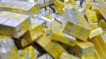 Peste un milion de țigarete de contrabandă, descoperite de echipele mobile ale AVR în județul Ilfov