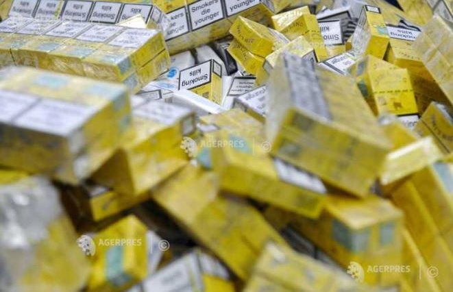 Peste un milion de țigarete de contrabandă, descoperite de echipele mobile ale AVR în județul Ilfov
