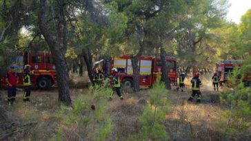 IGSU: Misiunea din Grecia se încheie; 120 de pompieri, în trei schimburi, au fost prezenți în apropierea Atenei
