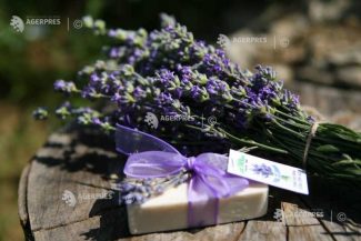 Peste 50 de producători, artizani și branduri creative românești, între 25 și 27 septembrie, la Lavanda Fest