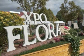 Maramureș: Iubitorii grădinăritului – întâmpinați la Expo Flora Baia Mare cu oferte generoase (GALERIE FOTO)