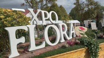 Maramureș: Iubitorii grădinăritului – întâmpinați la Expo Flora Baia Mare cu oferte generoase (GALERIE FOTO)