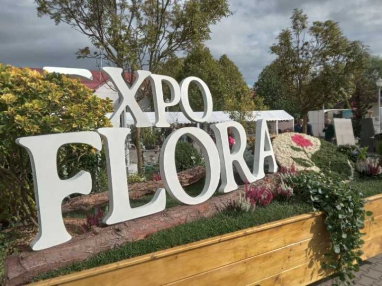Maramureș: Iubitorii grădinăritului – întâmpinați la Expo Flora Baia Mare cu oferte generoase (GALERIE FOTO)