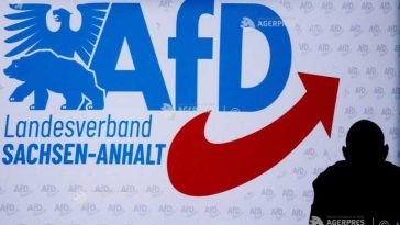 Special Olympics Germania avertizează în legătură cu un nou posibil succes al AfD la Berlin și în landul Mecklenburg-Pomerania Inferioară