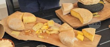 BTA: Festivalul Brânzei de Casă reunește producători din Bulgaria și Balcani în satul Cherni Vit