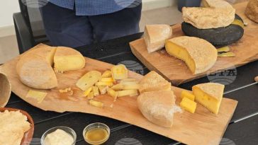 BTA: Festivalul Brânzei de Casă reunește producători din Bulgaria și Balcani în satul Cherni Vit
